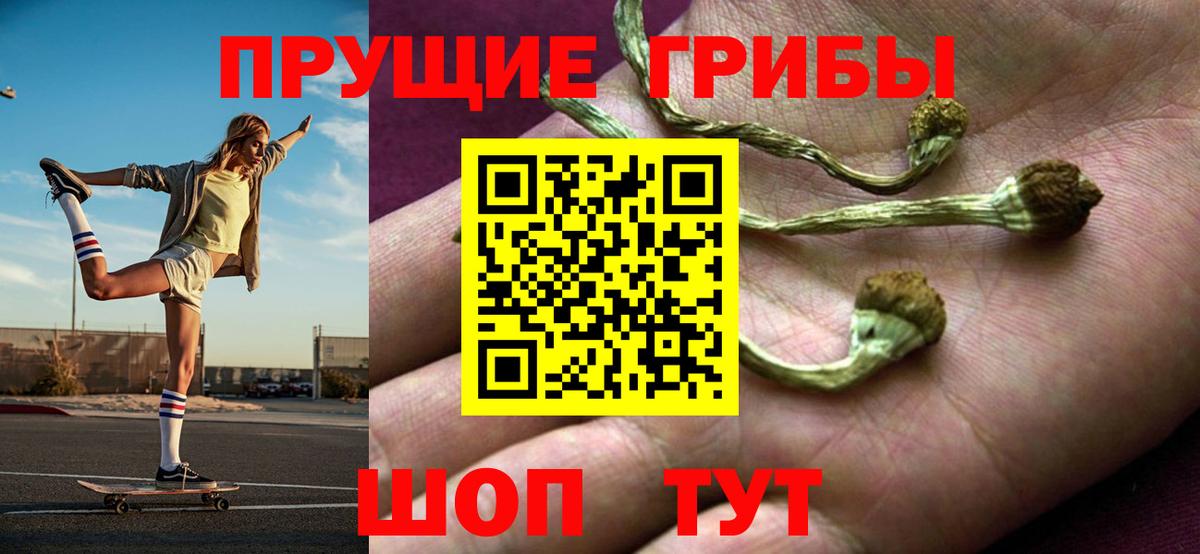 Волгоград  Псилоцибиновые грибы Cubensis  Псилоцибиновые грибы Cubensis  Вход с VPN 